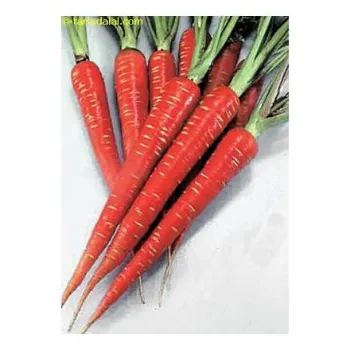 Organic Red Carrot